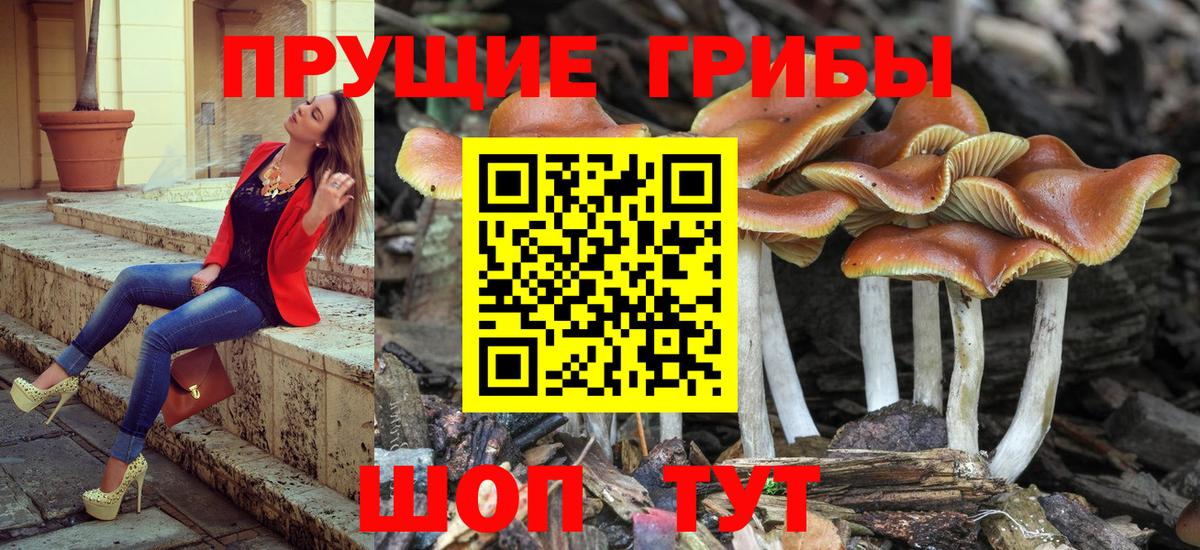 Галлюциногенные грибы мухоморы  Галлюциногенные грибы Cubensis  Приморско-Ахтарск  Вход с VPN 