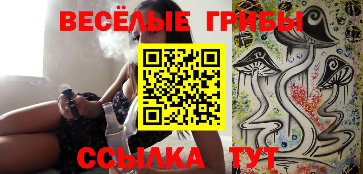 Псилоцибиновые грибы GOLDEN TEACHER Приморско-Ахтарск